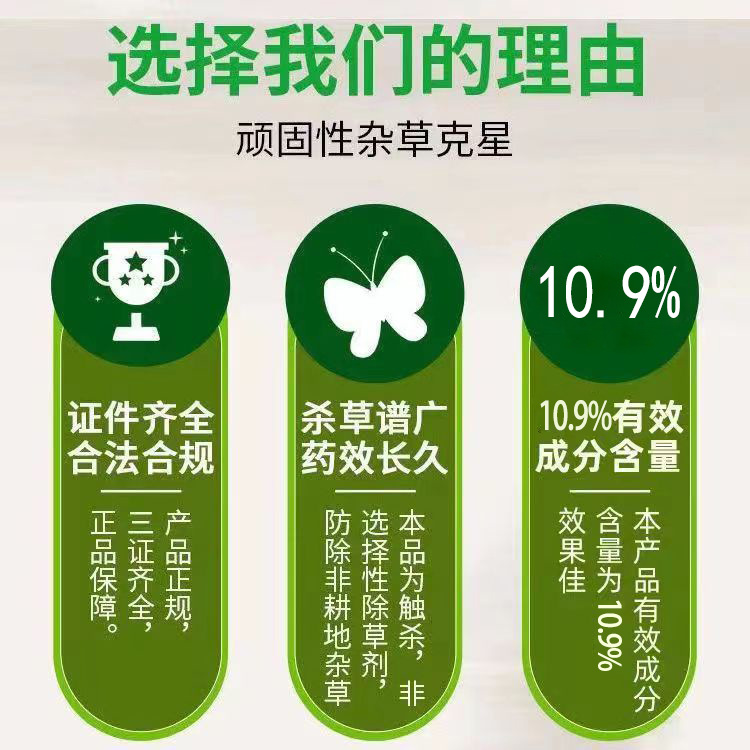 a4cba88f578bd00cdfe469d74f00fa