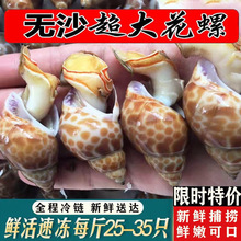 ���r�����r��������r�|�L�ݺ��ݺ��i�ݺ��rˮ�a�Úg��