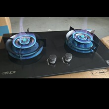 ú��������ͻ�̨ʽȼ������ȻҺ������ʽ�p�^��߹��ܠt�ߏS���N