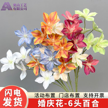 6�^�ٺϷ��滨��c�b��߿͏d�廨�ٻ���ˇ�[�������ٻ�����
