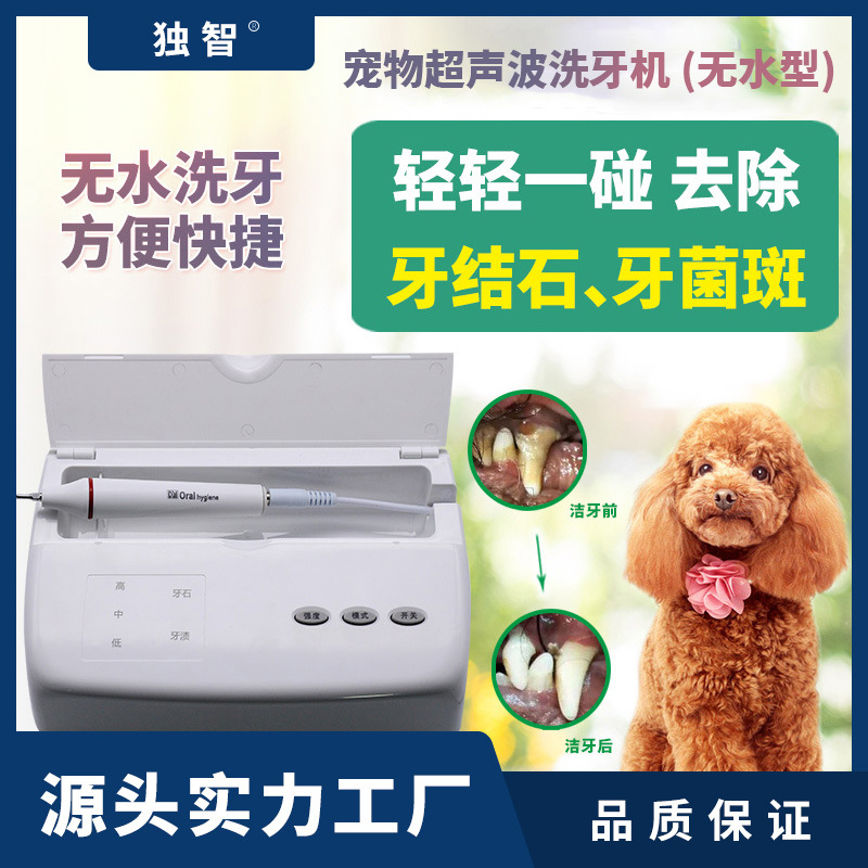 ペット超音波スケーリング犬歯石洗浄機口腔洗浄ケア口臭除去ツール