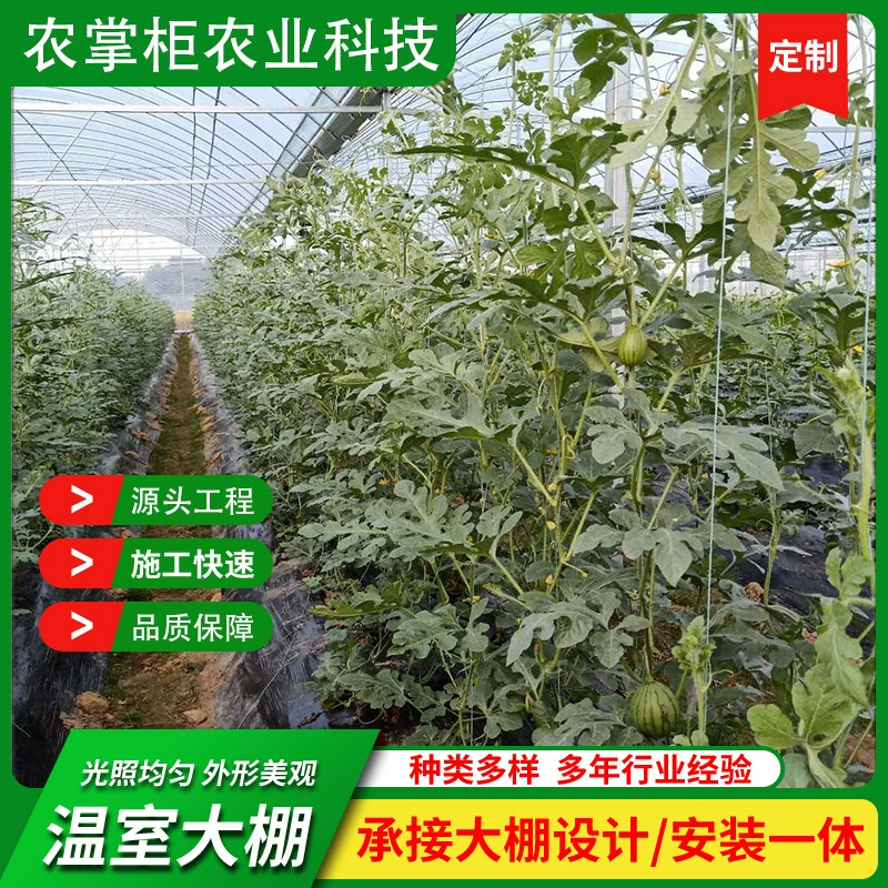 Теплица для выращивания спортивных рассады, теплица для выращивания дынь, фруктов и овощей, стеклянная теплица для выращивания арбузов, теплица для выращивания драконьего фрукта, сельскохозяйственное строительство