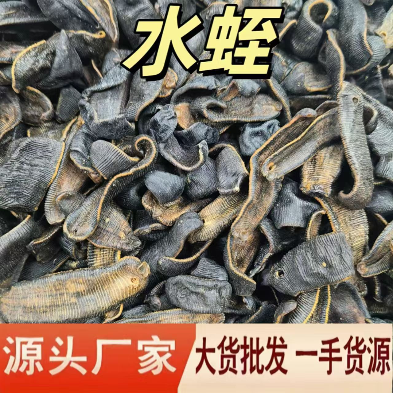 微信图片_20240901214845