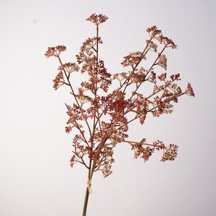 �tɫϵ��c����ɻ�ɫ���������� ����ܛ�b���üٻ��廨�Ҿ��b�