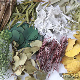 天然干树叶真树叶标本干花diy手工装饰材料包植物书签压花幼儿园