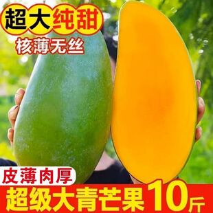 ������ϴ���â��â�����r�����ЋDˮ��Ƥ���������l�rһ�����]�}