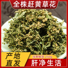 �Ĵ����Aȫ���s�S���s�S�ݻ����]��β��Ʒ���l��Ʒ