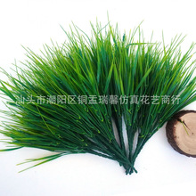 ���R�d�����7�����ϻ�����ֲ� �Gֲ�����Ʒ����廨�@ˇ�b�