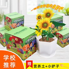 ̽���NֲС���ԃ�ͯ�Gֲ���L�^��С��� �W���ֹ�����ȤζС���r