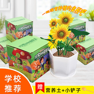 ̽���NֲС���ԃ�ͯ�Gֲ���L�^��С��� �W���ֹ�����ȤζС���r