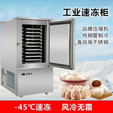 商用食品风冷速冻柜 小型急冻柜低温柜海鲜水饺包子海参速冻机