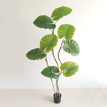 仿真绿植春羽仙芋盆栽室内楼梯间植物景观网红店橱窗绿植场景布置