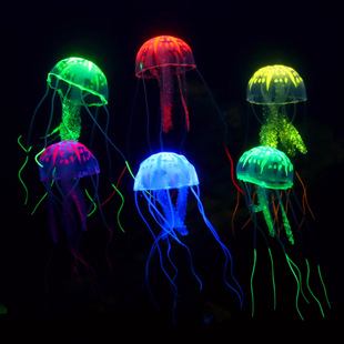 �S�����l������z�ɹ�ˮĸˮ����Ʒ/�~���쾰�b�/�����~��ˮ�ݵ�