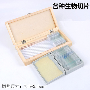 �����bƬ��Ƭ��������Ƭ�bƬ���w�Ĵ�M���� ��Ƥ �Y�� ��