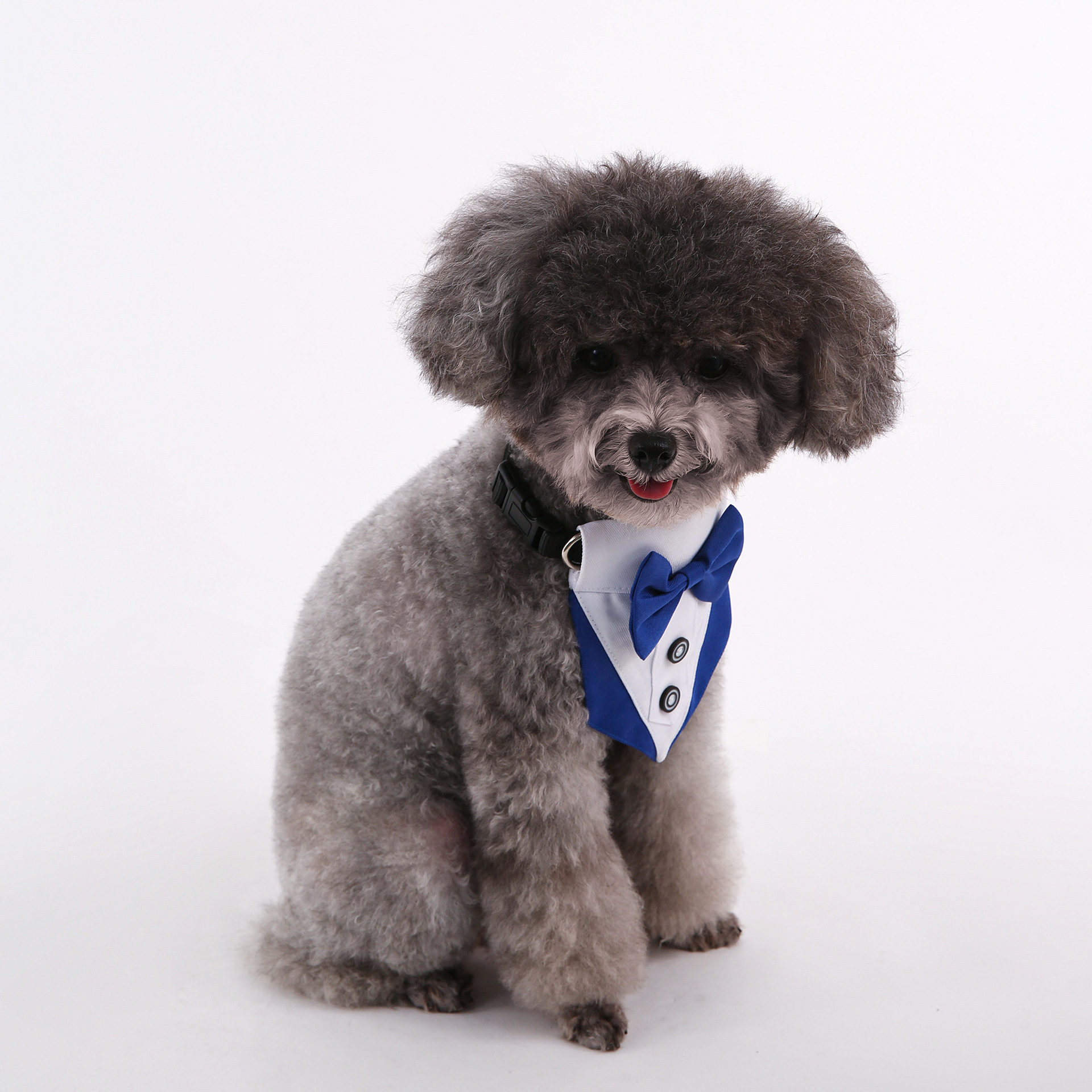 Transfronterizos nuevos trajes de boda de estilo británico perros y gatos toallas de saliva de boda toallas de triángulo para mascotas bufandas suministros