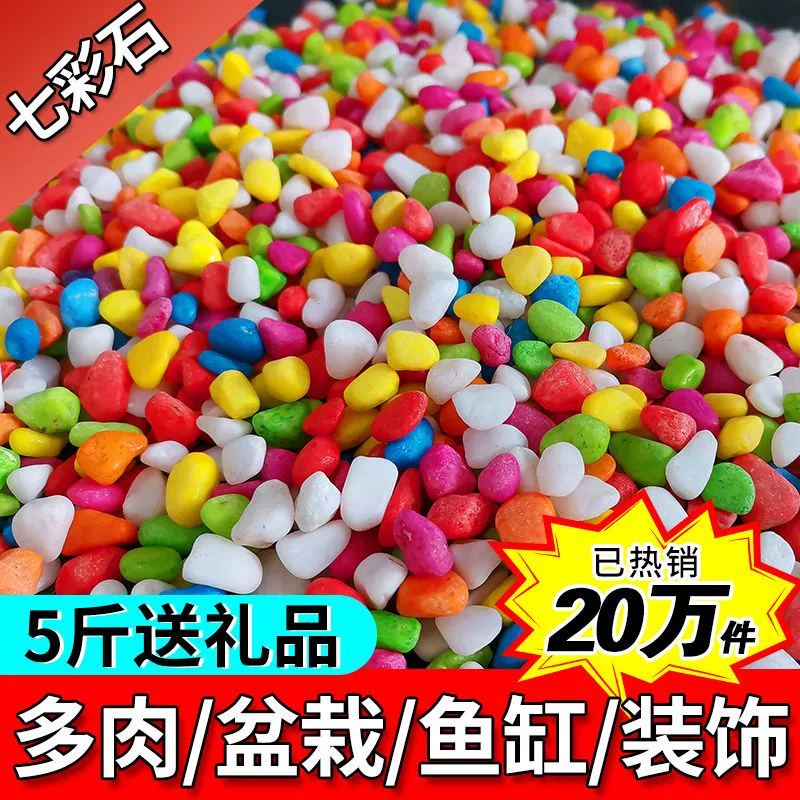 Красочные каменные цветные маленькие каменные разноцветные каменные горшечные суккуленты