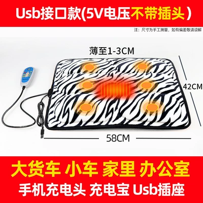 Intelligent Massage Cushion for Buttocks and Waist, Car-Mounted Vibrating Heating Pad, Electric Multifunctional Massage Cushion for Home Use for the Elderly (Masaj avadanlığı) - leopard-print-usb-interface-model-5v-voltage-without-plug