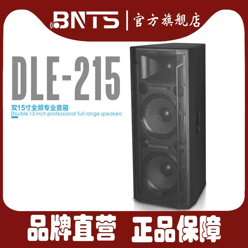 BNTS-DLE双15寸专业户外舞台演出婚庆音箱全频大功率KTV酒吧音响