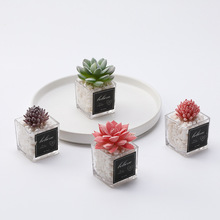 玻璃植绒迷你多肉植物室内家居假花装饰亚马逊仿真小盆栽批发