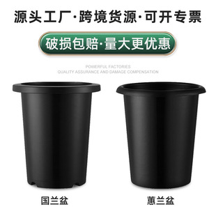 �a���������m������mޥ�m�m�����Ͳ����ɫ�Ӻ����ϻ������l