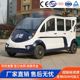 电动观光车;高尔夫球车;其他电动车