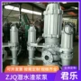 河道处理污水潜水抽沙泵