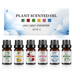 即納 水溶性アロマエッセンシャルオイル 10ml 爽やかな香り 加湿器用ディフューザー 長時間持続する香り 越境で人気商品