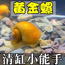 �S�����ϼy���O�����U�~�ݳ����ݳ����ݚ������^�p�ݻ��w�����ˮ