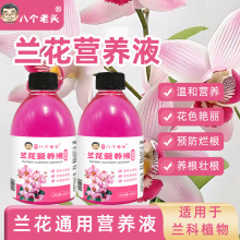 兰花专用浓缩营养液植物花卉花肥君子兰蝴蝶兰通用液体肥现货批发