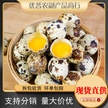 �������g�������r25/50/100ö�r��ɢ�B�B����ˮ����oʳ