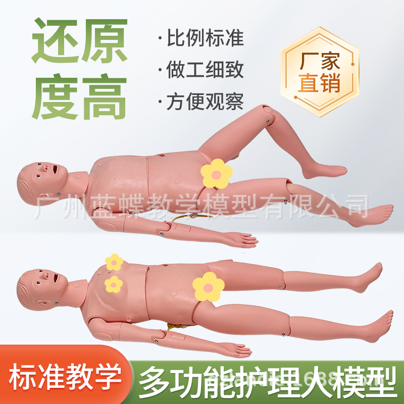 ���廤����ѵ ��Ů����ҽѧ ��ʿ������ѵ ��ɩ����֪ʶ����ģ��