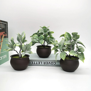 ϵ͹LױϵԷֲ辰҃bС[