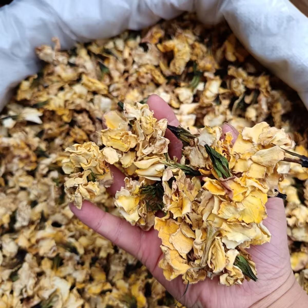 Dried Gardenia Flower Zhi Zi Hua Loose Herbal Flowers for Tea Sachet Filling and Powder 500g in use