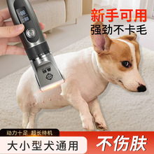 ɣ�Q������ë������ë⁽��^����؈�����_ë����