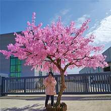 �����һ���ѻ�����ͼ٘��҃����b��S��̈��Ƶ��c�[�O�쾰