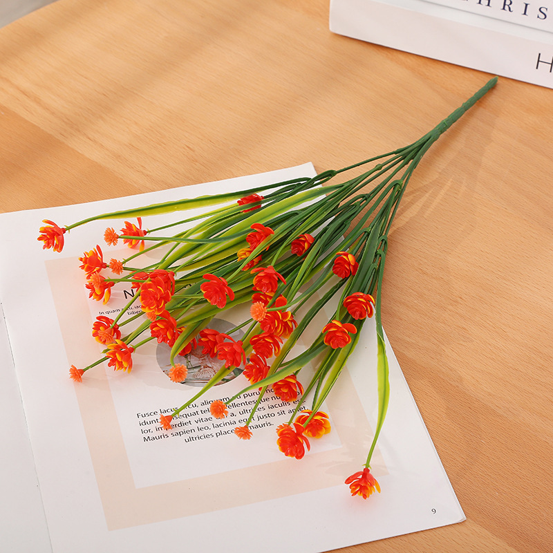 Camelia de hierba de primavera - atardecer rojo - al161 - 136 - 7