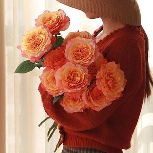 ���õ�����ֱ�l�r��õ�廨���տ����lˮ�B��ˮ�ٺϻ������ò廨