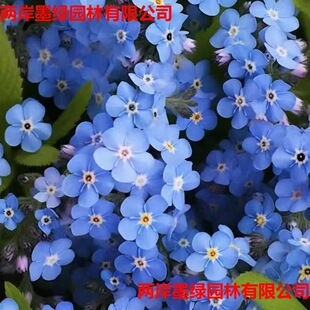 �����һ��N��������΢���x�����ļ����N�̨ͥԺ���ܷN����ѻ�