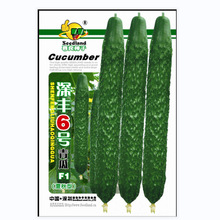 ߲˷NӏSlS6̖sF1SϷNӻ@¶ͥԺ