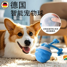 爆款智能逗狗球智能逗狗狗玩具解闷发声磨牙解闷自动滚滚电动神器