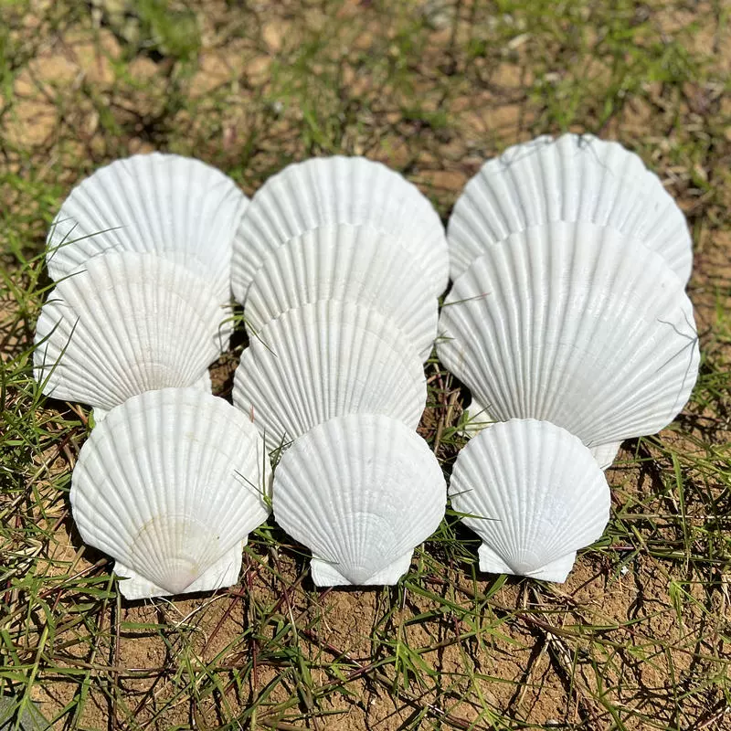 Changeable big white organic aquarium decor