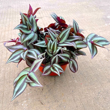 ���~����÷�̨�҃����_�m���m���ԾGֲ���܃����՚���B�ͻ���]