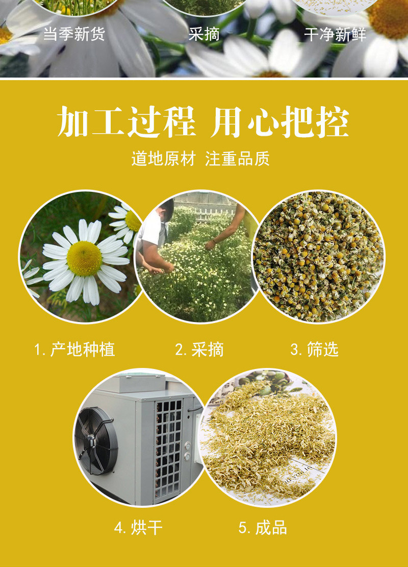 German Chamomile Flower Petals & Powder (Matricaria chamomilla) — Dried Loose Herb, 500g preparation