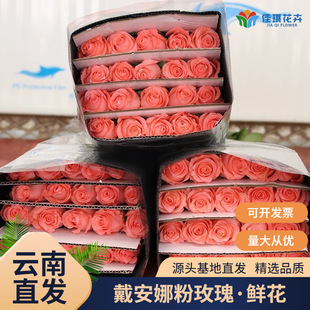 ����r��ֱ�l������õ�廨���r��ɫõ�幝����I�û��r�л�����