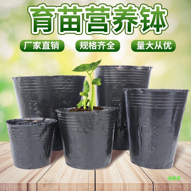栄養袋苗袋黒大型植木鉢苗ポット使い捨て栄養ボウル植栽栄養カップ苗カッププラスチック|undefined