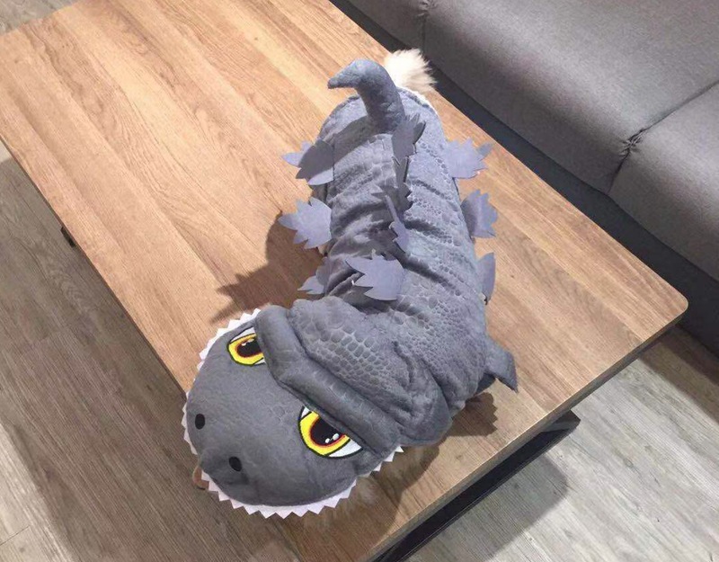 2b145bffc9a2091eeb2fa0622b8982