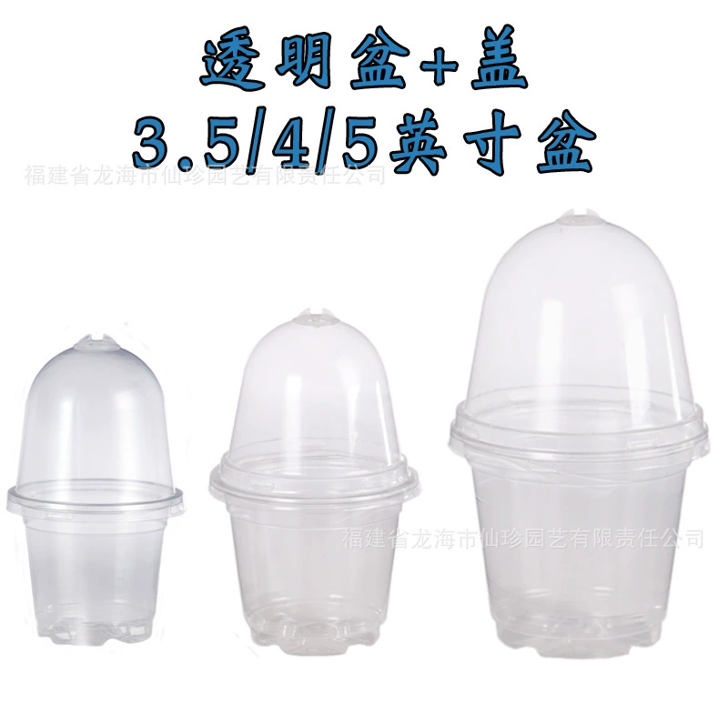 Утолщенная и закаленная чашка для рассады из ПЭТ 3,5/4/5 дюймов с крышкой Размер цветочного горшка чашка для питания Amazon трансграничный эксклюзивный