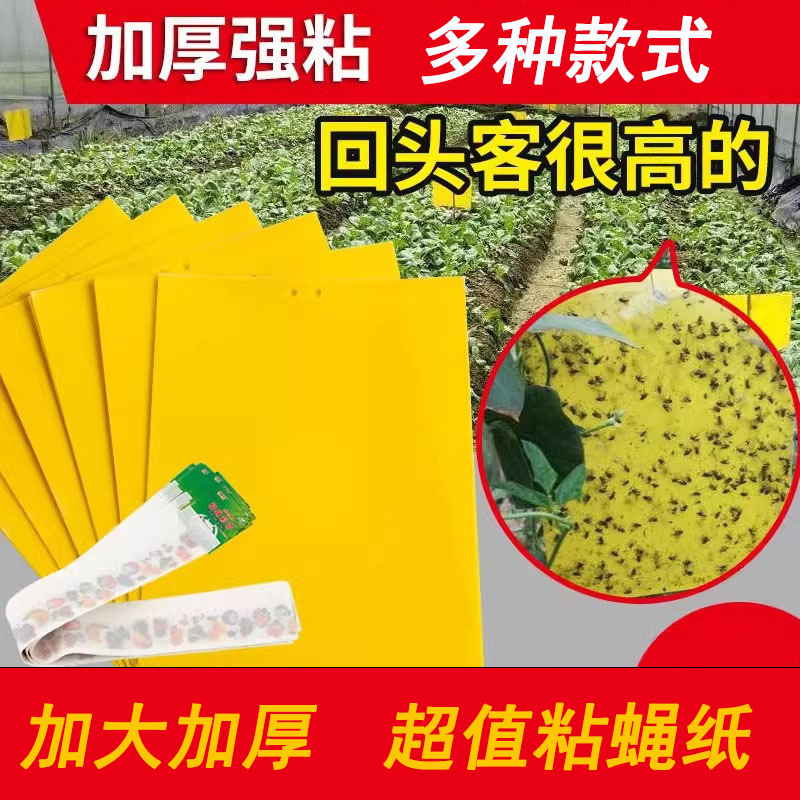 [Thickened] Sticky Insect Board Yellow Board Double-Sided Small Flying Insect Killing Greenhouse Fly Killing Sticker Orchard Fruit Fly Mosquito Trap