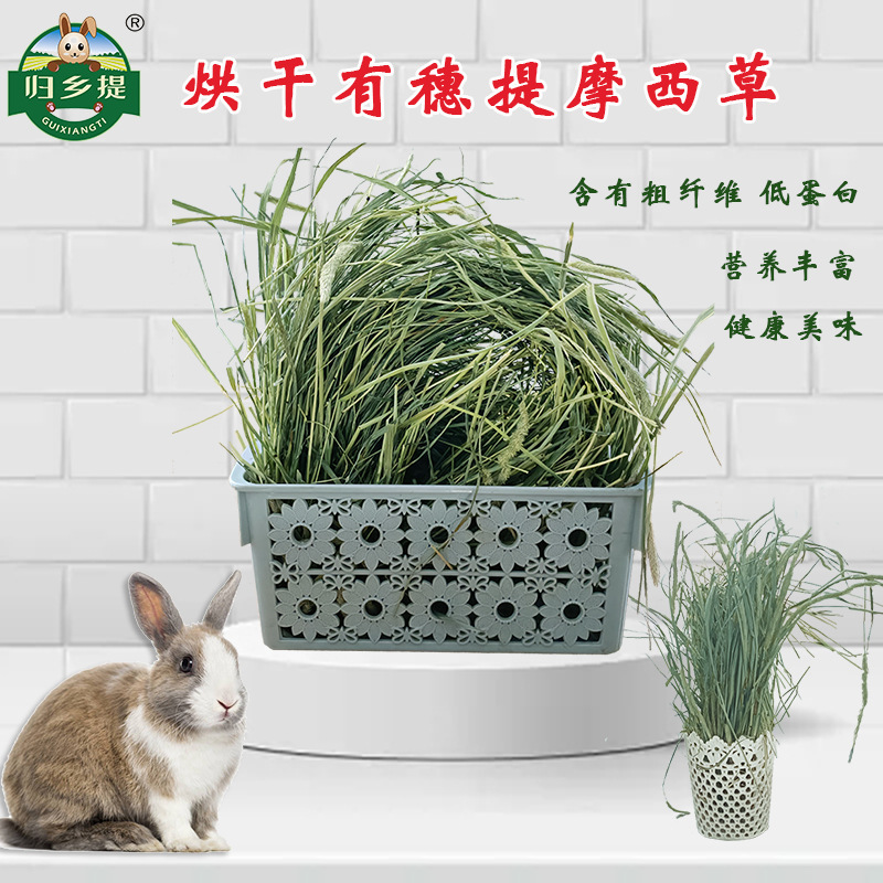 归乡提烘干提摩西草有穗干草500g兔粮兔饲料仓鼠龙猫牧草厂家直销