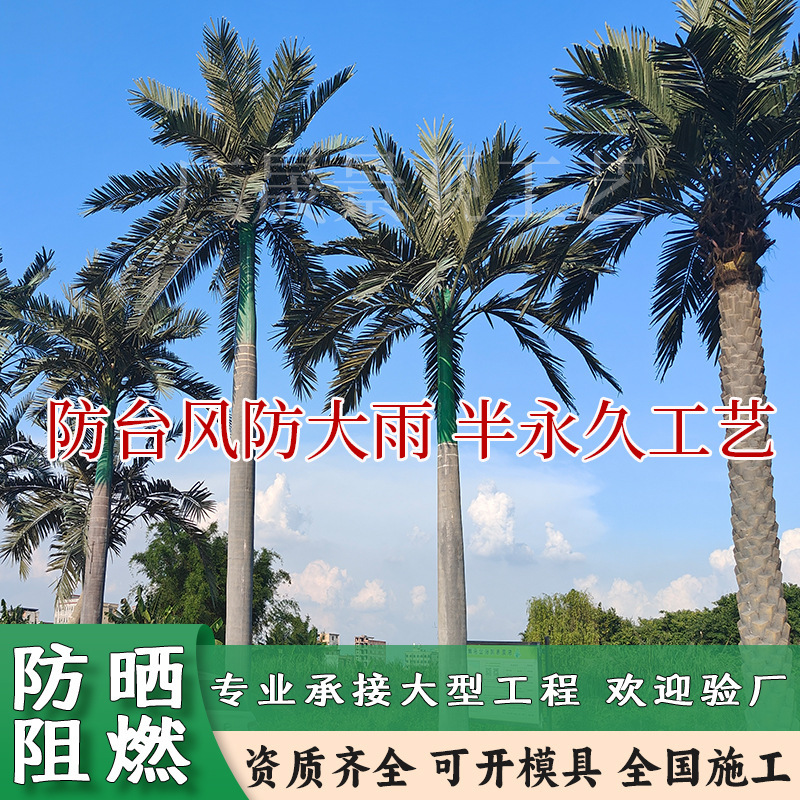 椰子树大型外贸海枣树沙滩广场水上乐园绿化造景工程假棕榈树